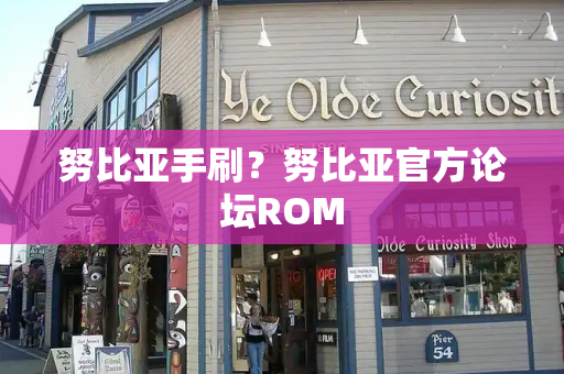 努比亚手刷？努比亚官方论坛ROM