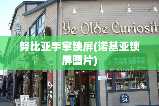 努比亚手掌锁屏(诺基亚锁屏图片)-第1张图片-星选测评