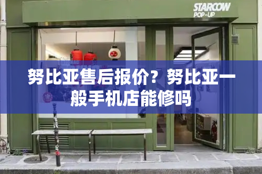 努比亚售后报价？努比亚一般手机店能修吗-第1张图片-星选测评