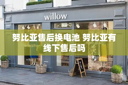 努比亚售后换电池 努比亚有线下售后吗