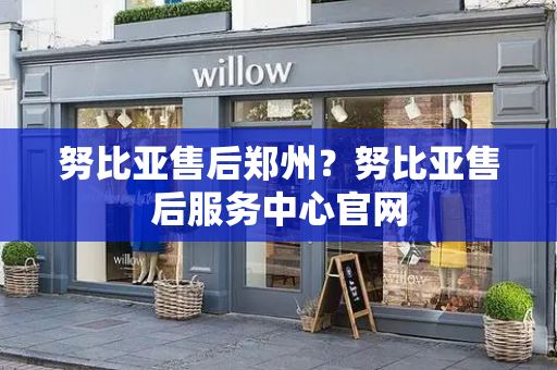 努比亚售后郑州？努比亚售后服务中心官网-第1张图片-星选测评