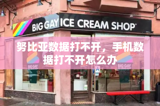 努比亚数据打不开，手机数据打不开怎么办