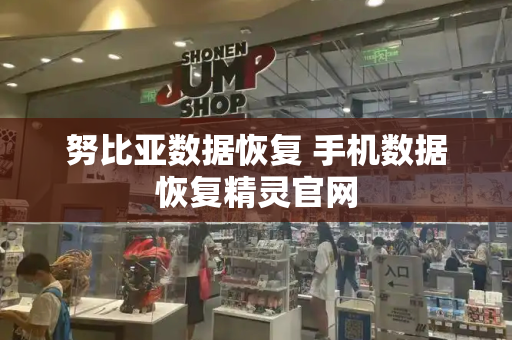 努比亚数据恢复 手机数据恢复精灵官网