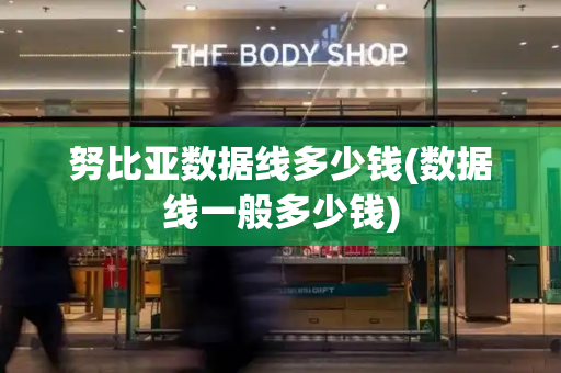 努比亚数据线多少钱(数据线一般多少钱)