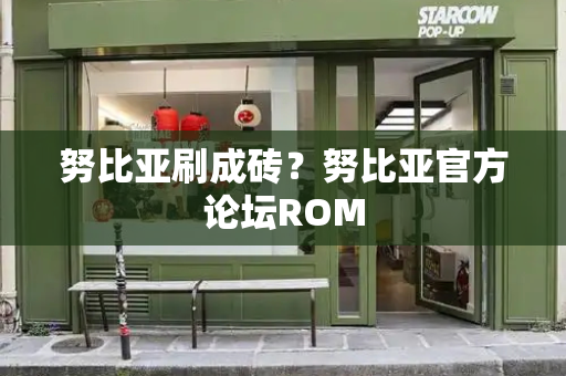 努比亚刷成砖？努比亚官方论坛ROM-第1张图片-星选测评