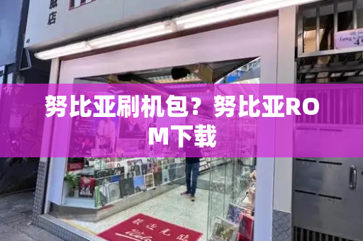 努比亚刷机包？努比亚ROM下载-第1张图片-星选测评