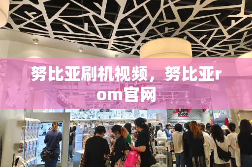 努比亚刷机视频，努比亚rom官网