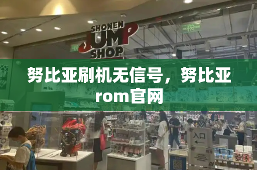 努比亚刷机无信号，努比亚rom官网