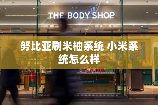 努比亚刷米柚系统 小米系统怎么样-第1张图片-星选测评