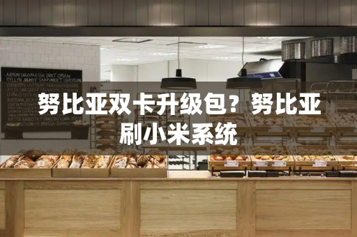 努比亚双卡升级包？努比亚刷小米系统-第1张图片-星选测评