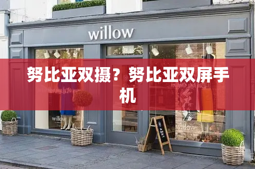 努比亚双摄？努比亚双屏手机-第1张图片-星选测评