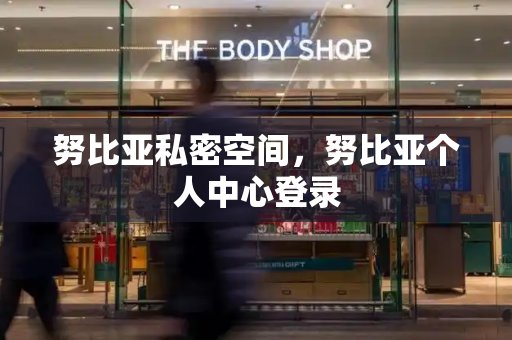 努比亚私密空间，努比亚个人中心登录