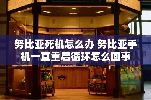 努比亚死机怎么办 努比亚手机一直重启循环怎么回事-第1张图片-星选测评