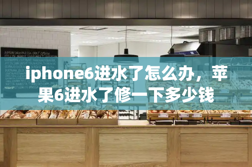iphone6进水了怎么办，苹果6进水了修一下多少钱-第1张图片-星选测评