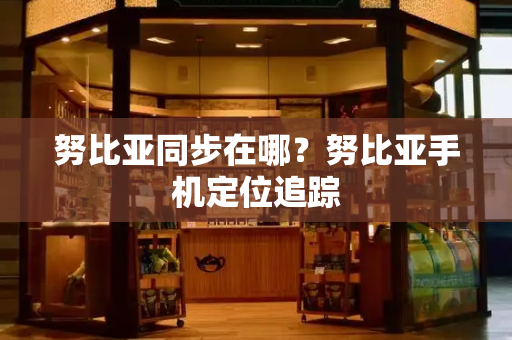 努比亚同步在哪？努比亚手机定位追踪-第1张图片-星选测评