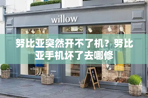 努比亚突然开不了机？努比亚手机坏了去哪修-第1张图片-星选测评