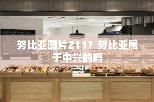 努比亚图片Z11？努比亚属于中兴的吗-第1张图片-星选测评