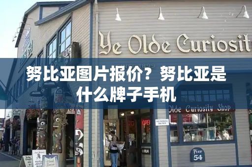 努比亚图片报价？努比亚是什么牌子手机-第1张图片-星选测评