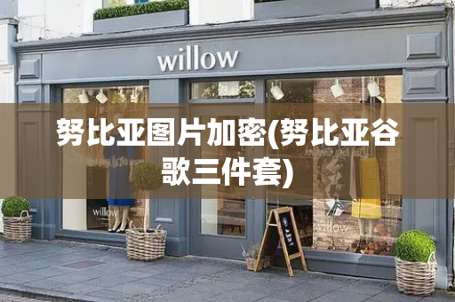 努比亚图片加密(努比亚谷歌三件套)