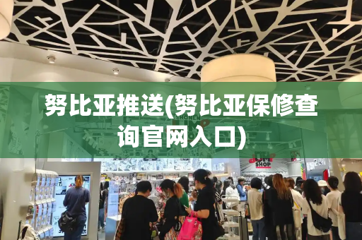 努比亚推送(努比亚保修查询官网入口)-第1张图片-星选测评