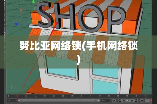 努比亚网络锁(手机网络锁)-第1张图片-星选测评