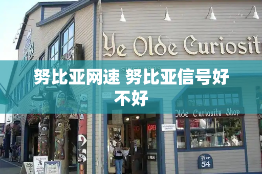 努比亚网速 努比亚信号好不好-第1张图片-星选测评