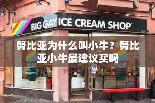 努比亚为什么叫小牛？努比亚小牛最建议买吗