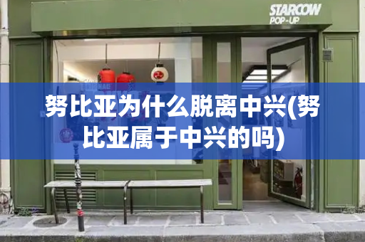 努比亚为什么脱离中兴(努比亚属于中兴的吗)-第1张图片-星选测评