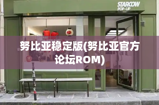 努比亚稳定版(努比亚官方论坛ROM)