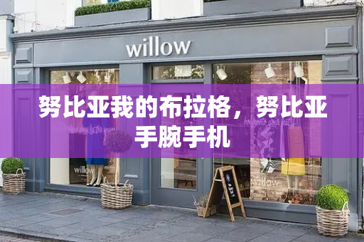 努比亚我的布拉格，努比亚手腕手机