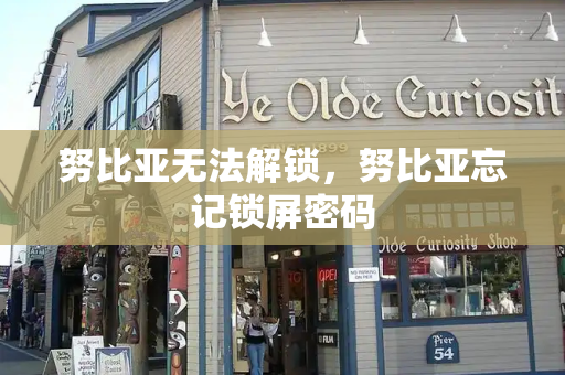 努比亚无法解锁，努比亚忘记锁屏密码