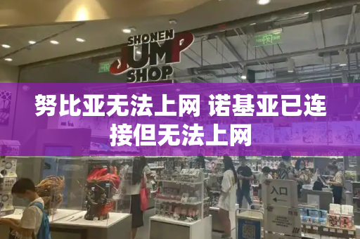努比亚无法上网 诺基亚已连接但无法上网-第1张图片-星选测评