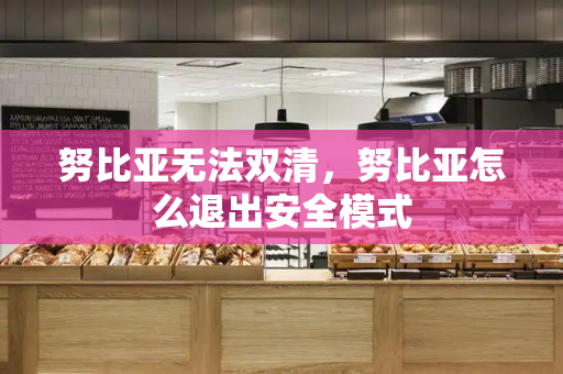 努比亚无法双清，努比亚怎么退出安全模式