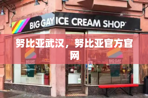 努比亚武汉，努比亚官方官网