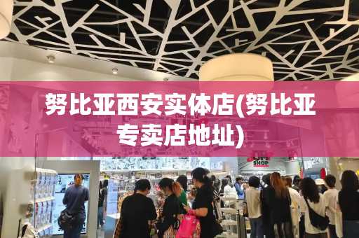 努比亚西安实体店(努比亚专卖店地址)