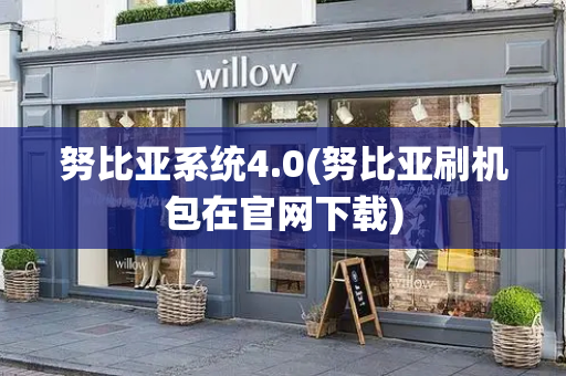 努比亚系统4.0(努比亚刷机包在官网下载)-第1张图片-星选测评