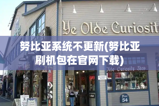 努比亚系统不更新(努比亚刷机包在官网下载)-第1张图片-星选测评