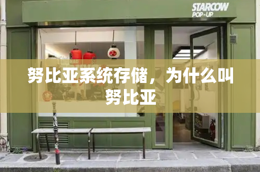 努比亚系统存储，为什么叫努比亚-第1张图片-星选测评