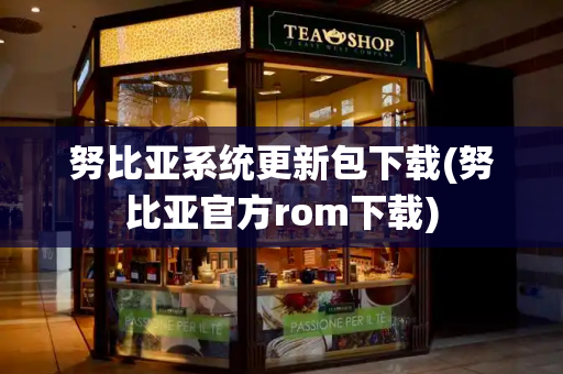 努比亚系统更新包下载(努比亚官方rom下载)-第1张图片-星选测评