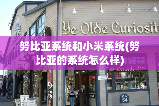 努比亚系统和小米系统(努比亚的系统怎么样)-第1张图片-星选测评