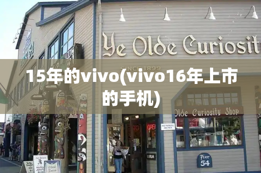 15年的vivo(vivo16年上市的手机)-第1张图片-星选测评