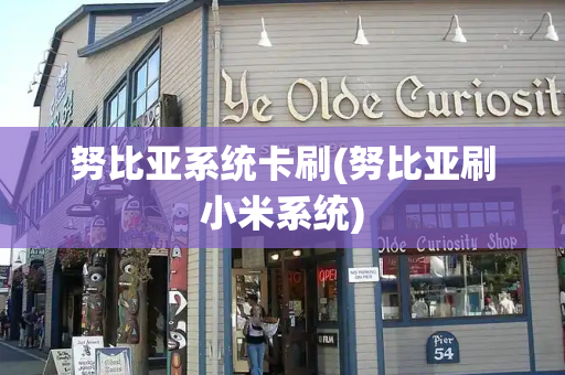 努比亚系统卡刷(努比亚刷小米系统)