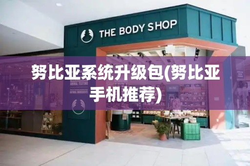 努比亚系统升级包(努比亚手机推荐)