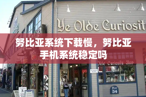 努比亚系统下载慢，努比亚手机系统稳定吗