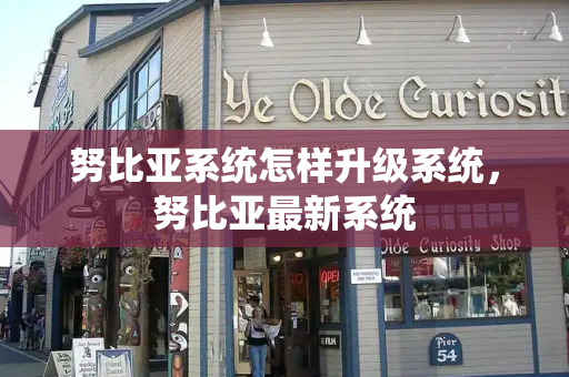 努比亚系统怎样升级系统，努比亚最新系统-第1张图片-星选测评