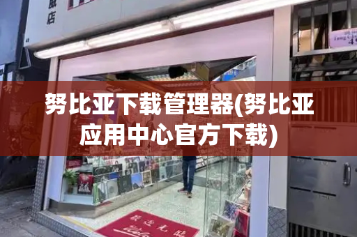 努比亚下载管理器(努比亚应用中心官方下载)-第1张图片-星选测评
