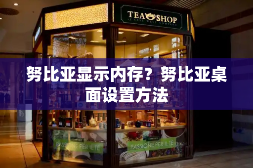 努比亚显示内存？努比亚桌面设置方法-第1张图片-星选测评