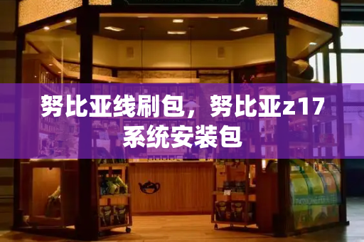 努比亚线刷包，努比亚z17系统安装包-第1张图片-星选测评
