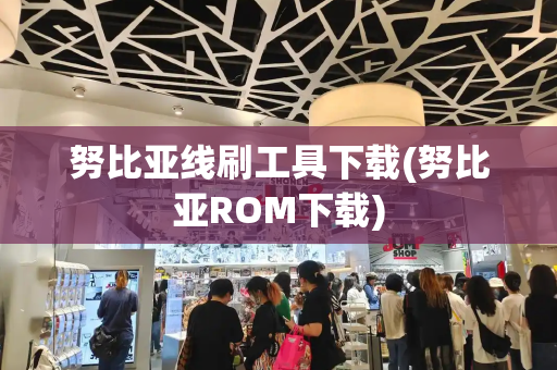 努比亚线刷工具下载(努比亚ROM下载)-第1张图片-星选测评
