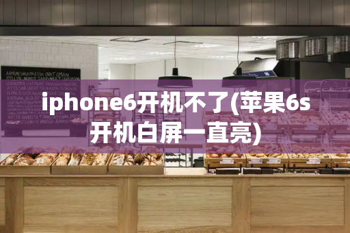 iphone6开机不了(苹果6s开机白屏一直亮)-第1张图片-星选测评